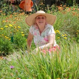 Testimonial from Sue Haberkorn for Digital Marketing Strategies of Dr. Sandi Eveleth